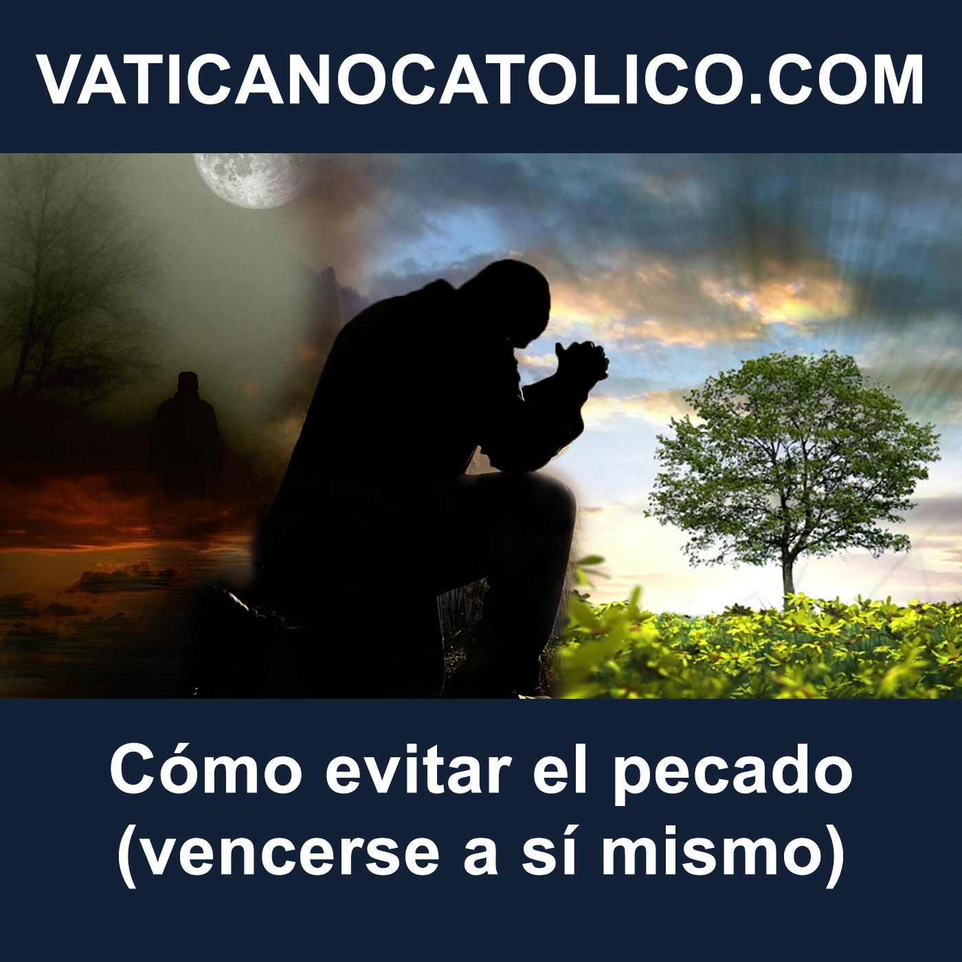 Apostolado Católico