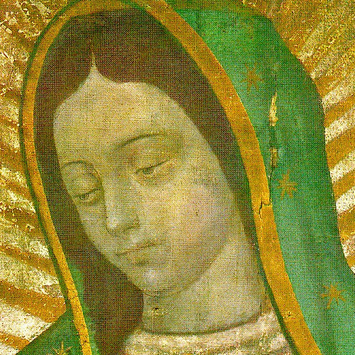 La Imagen Milagrosa de Guadalupe