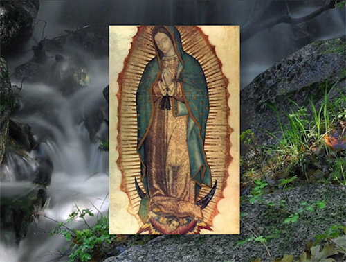 La Imagen Milagrosa de Guadalupe